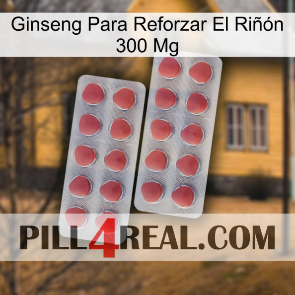 Ginseng Para Reforzar El Riñón 300 Mg 19.jpg